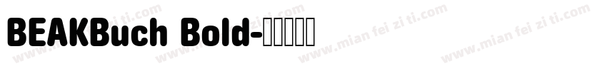 BEAKBuch Bold字体转换